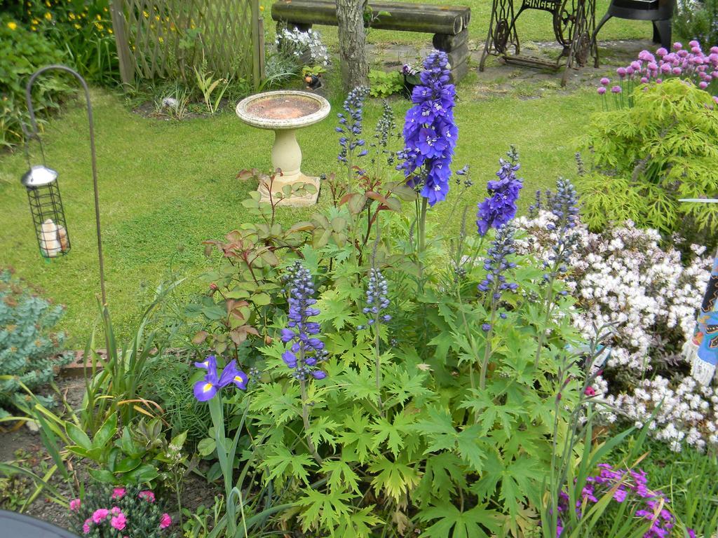 Ugiebrae House Bed & Breakfast North Sunderland Exteriér fotografie